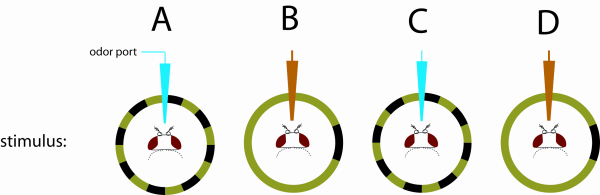 figure-protocol-6021